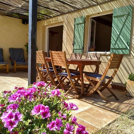 L'Arbre A Soleil Villa Aigues-Vives  Екстериор снимка