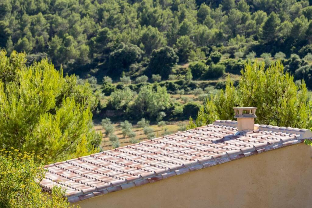 L'Arbre A Soleil Villa Aigues-Vives  Екстериор снимка