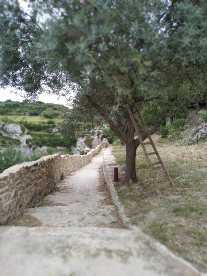 L'Arbre A Soleil Villa Aigues-Vives  Екстериор снимка